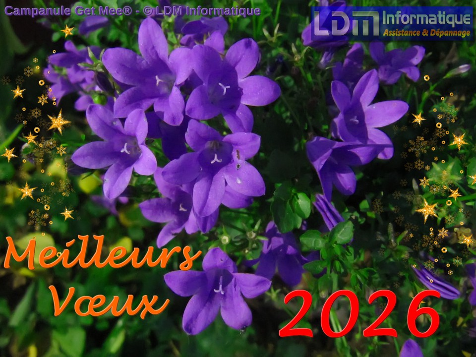 Meilleurs Vœux 2026